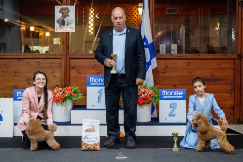 תערוכה לאומית — IRINABUSHANSKY-poodleclubshow-141.jpg