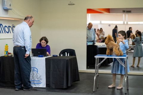 תערוכה לאומית — IRINABUSHANSKY-poodleclubshow-204.jpg