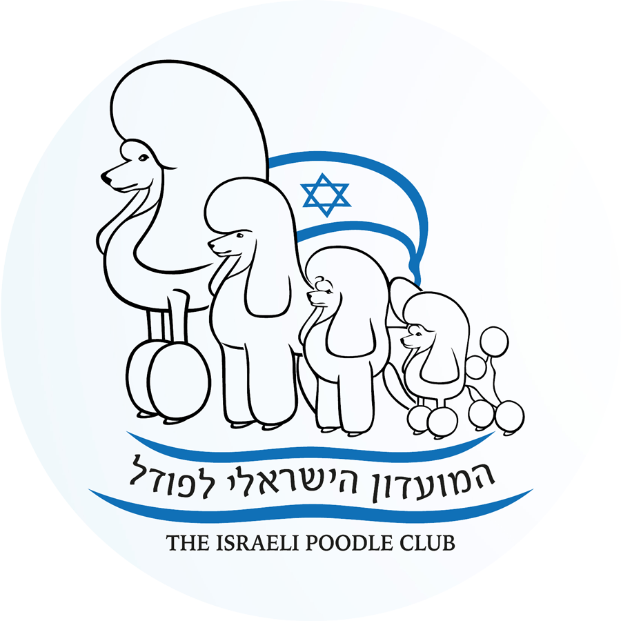 המועדון הישראלי לפודל — The Israeli Poodle Club